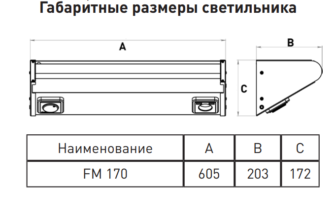 FM 170 11W/24W R D